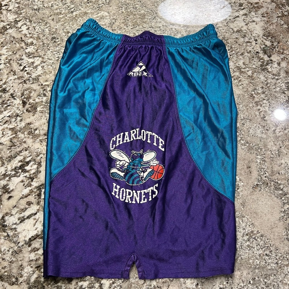 Vintage 1990s Charlotte Hornets NBA Apex One Basketball Shorts Teal Purple Large